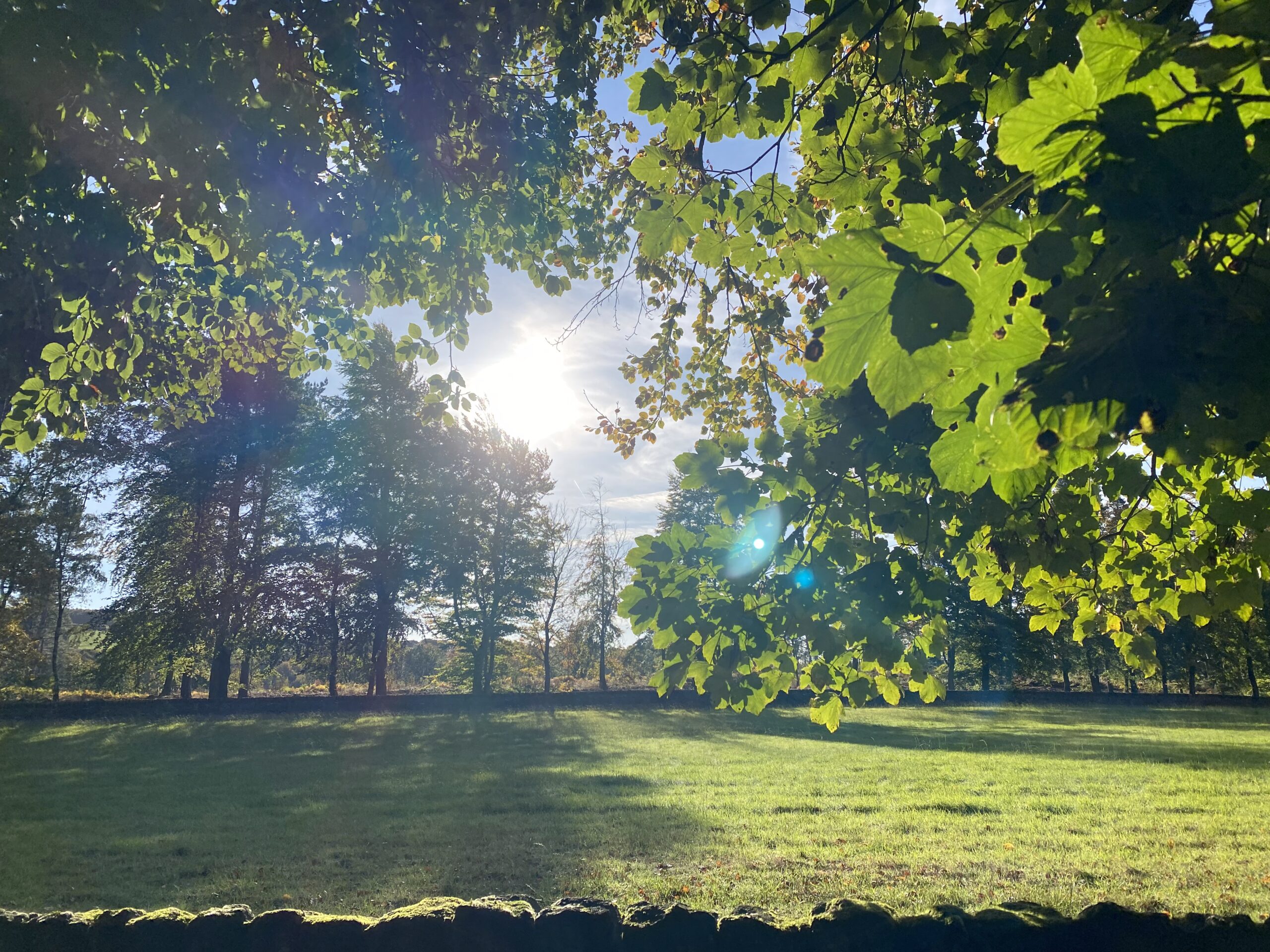 Why September might be the real New Year for business leaders